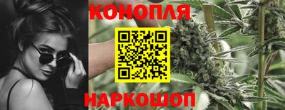 каннабис Новодвинск