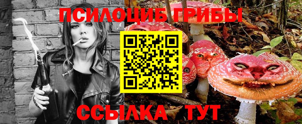 Галлюциногенные грибы Cubensis Сегежа