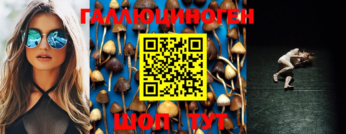 Галлюциногенные грибы Cubensis  Галлюциногенные грибы Magic Shrooms  Вход с VPN  Сегежа 